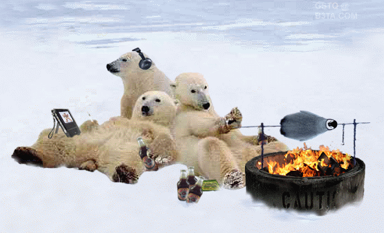 Image result for polar bears ice humor